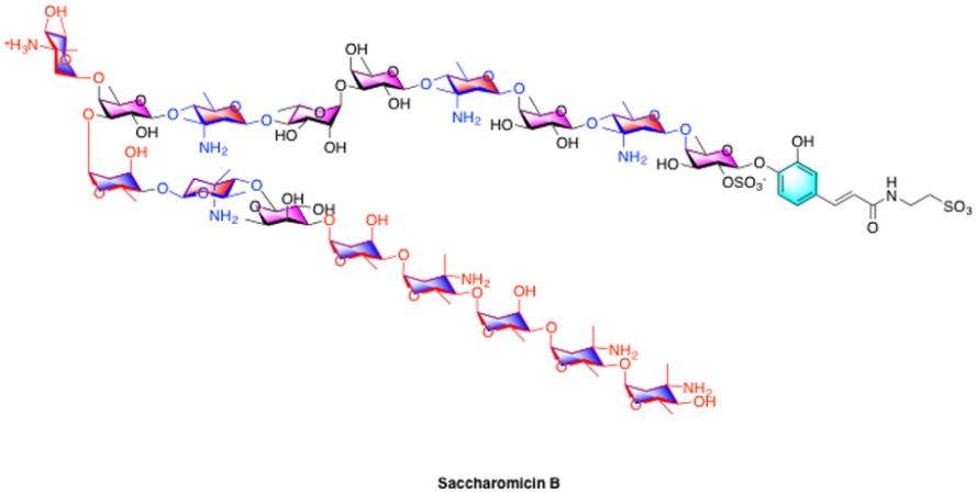 Saccharomicin B molecular diagram
