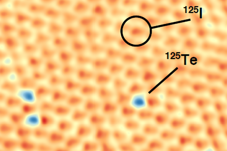 Scanning tunneling microscope data from a 2-D radioactive film showing individual atoms of both iodine-125 and the nuclear transmutation product, tellurium