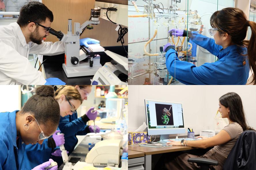 Photo collage of students in the Department of Chemistry