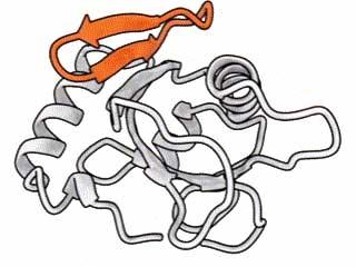 RFdiffusion model output showing structural prediction for the GABARAP protein
